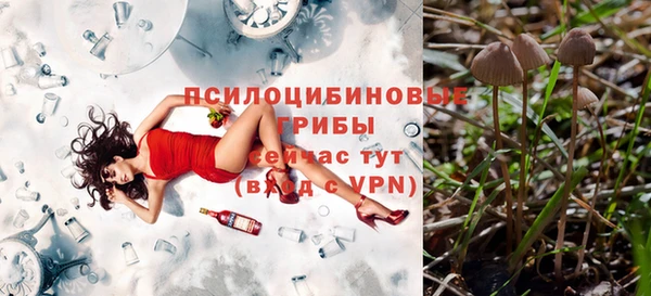 соль ск Навашино